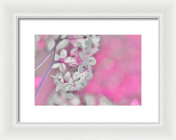 Pretty Pink Backdrop of Flowers  - Framed Print