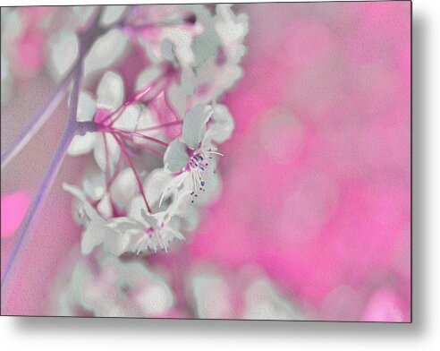 Pretty Pink Backdrop of Flowers  - Metal Print