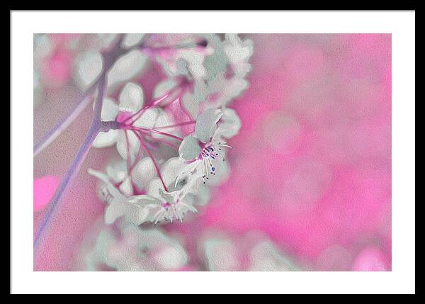 Pretty Pink Backdrop of Flowers  - Framed Print