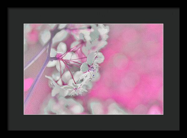 Pretty Pink Backdrop of Flowers  - Framed Print