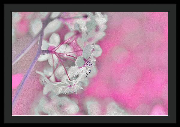 Pretty Pink Backdrop of Flowers  - Framed Print