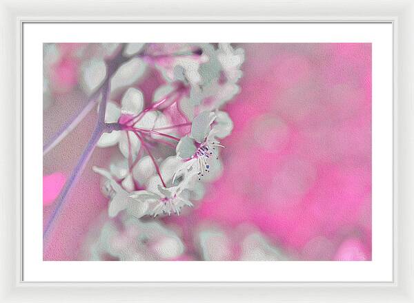 Pretty Pink Backdrop of Flowers  - Framed Print