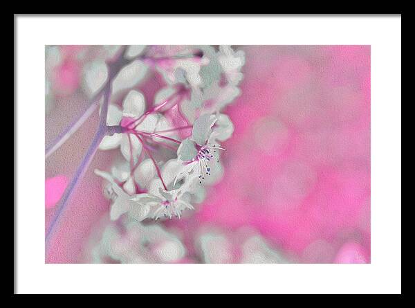 Pretty Pink Backdrop of Flowers  - Framed Print