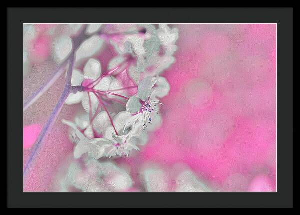 Pretty Pink Backdrop of Flowers  - Framed Print