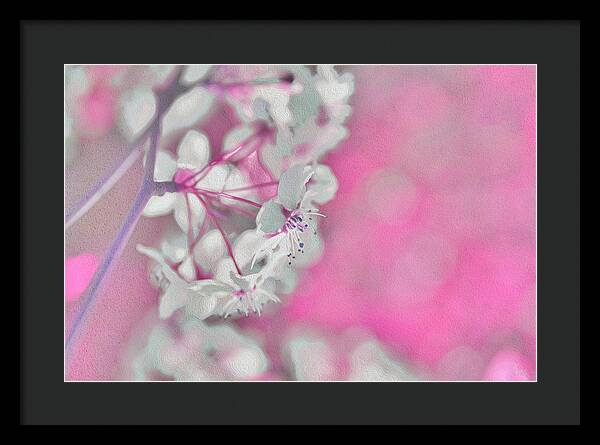Pretty Pink Backdrop of Flowers  - Framed Print