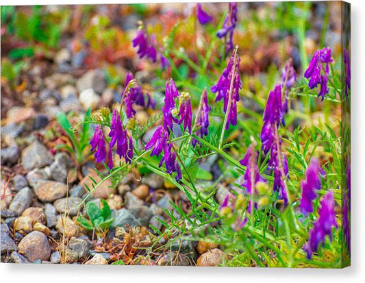 Purple Flowers Landscape Painting - Canvas Print