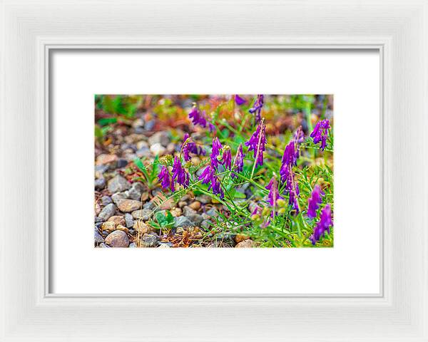 Purple Flowers Landscape Painting - Framed Print