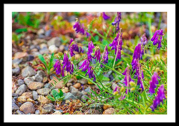 Purple Flowers Landscape Painting - Framed Print