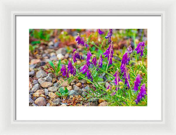 Purple Flowers Landscape Painting - Framed Print