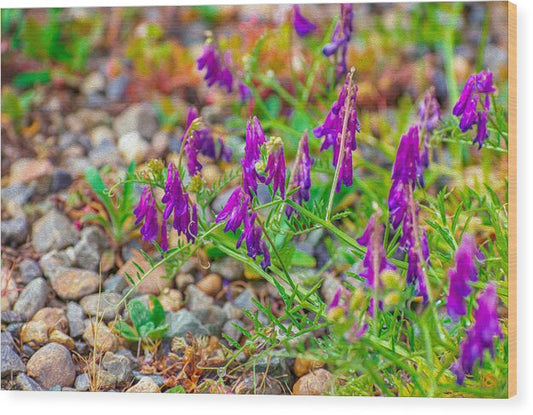 Purple Flowers Landscape Painting - Wood Print
