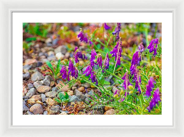 Purple Flowers Landscape Painting - Framed Print