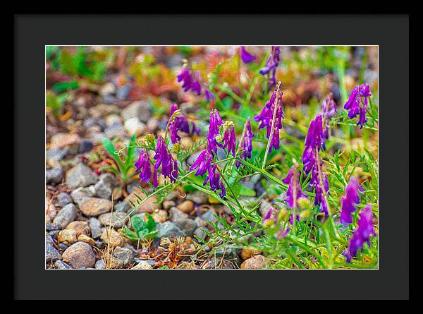 Purple Flowers Landscape Painting - Framed Print