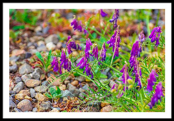 Purple Flowers Landscape Painting - Framed Print