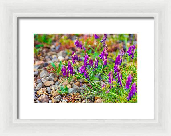 Purple Flowers Landscape Painting - Framed Print