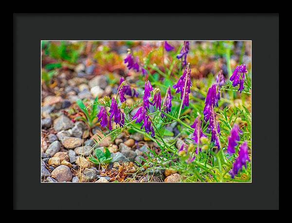 Purple Flowers Landscape Painting - Framed Print