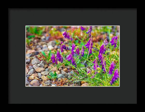 Purple Flowers Landscape Painting - Framed Print