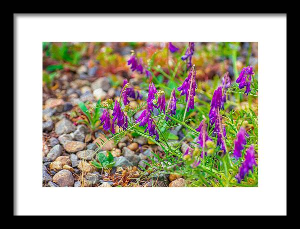 Purple Flowers Landscape Painting - Framed Print