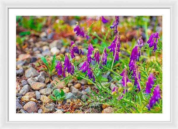 Purple Flowers Landscape Painting - Framed Print