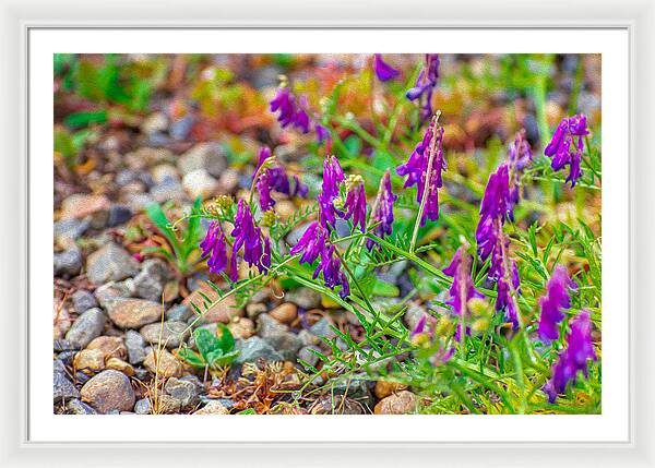 Purple Flowers Landscape Painting - Framed Print