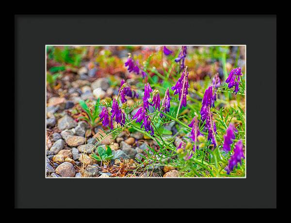 Purple Flowers Landscape Painting - Framed Print
