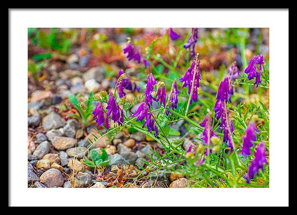 Purple Flowers Landscape Painting - Framed Print