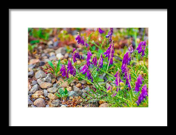 Purple Flowers Landscape Painting - Framed Print