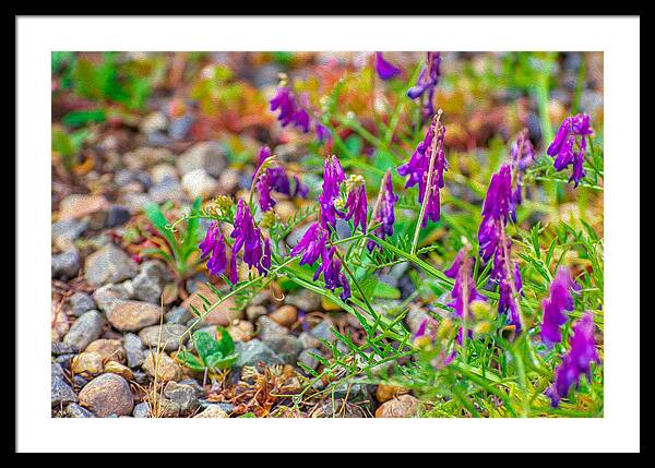 Purple Flowers Landscape Painting - Framed Print