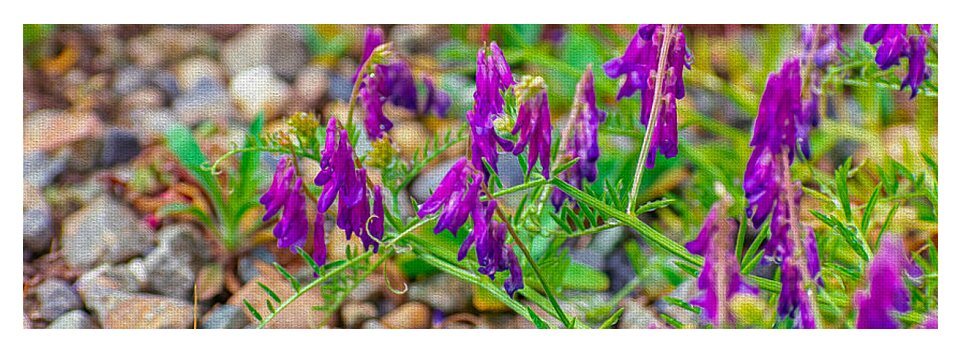 Purple Flowers Landscape Painting - Yoga Mat