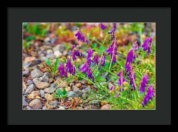 Purple Flowers Landscape Painting - Framed Print