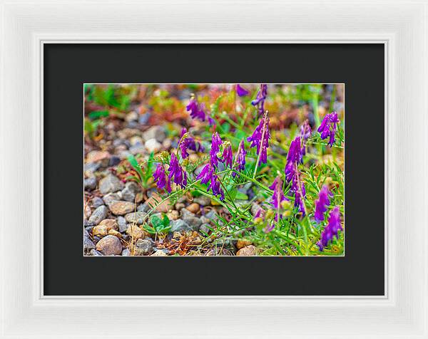 Purple Flowers Landscape Painting - Framed Print