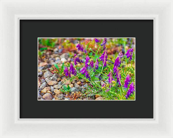 Purple Flowers Landscape Painting - Framed Print