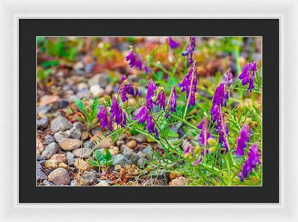 Purple Flowers Landscape Painting - Framed Print