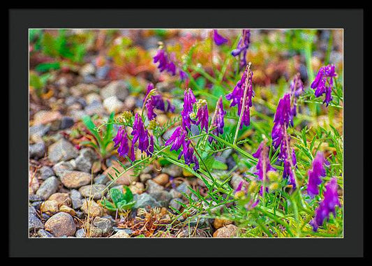 Purple Flowers Landscape Painting - Framed Print