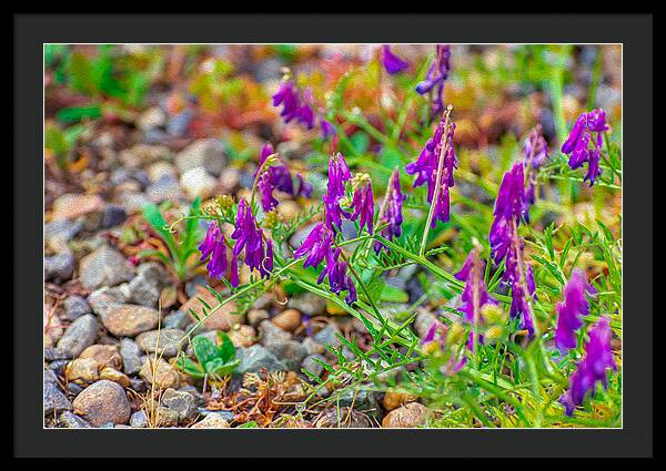 Purple Flowers Landscape Painting - Framed Print