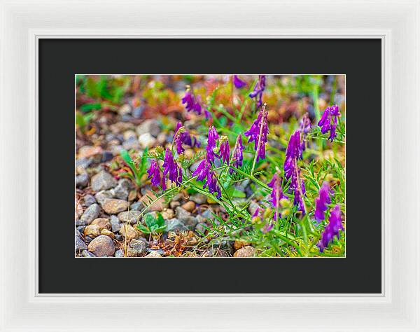 Purple Flowers Landscape Painting - Framed Print