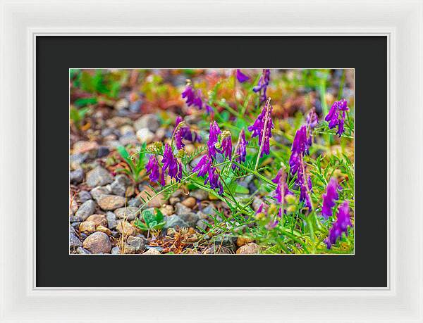 Purple Flowers Landscape Painting - Framed Print