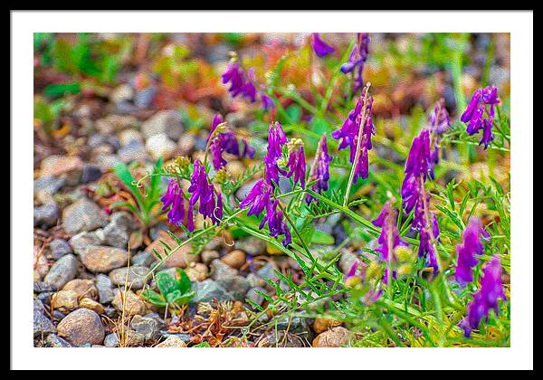 Purple Flowers Landscape Painting - Framed Print