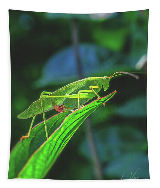 Ready for Lift off Adult Caedicia on a Leaf - Tapestry