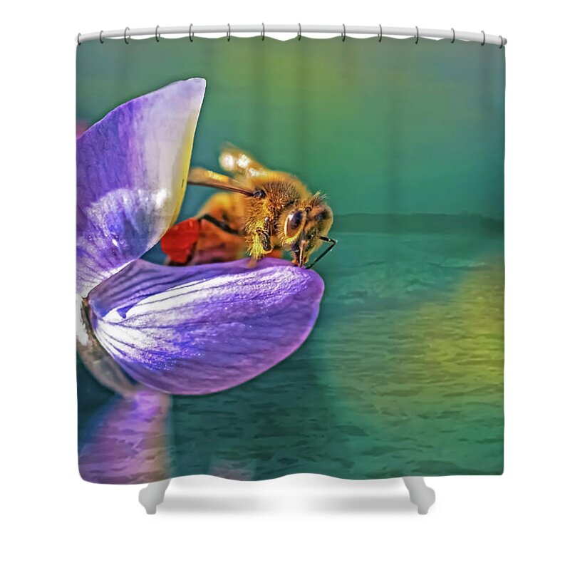 Ready for Lift Off from a Purple Flower - Shower Curtain