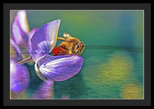 Ready for Lift Off from a Purple Flower - Framed Print