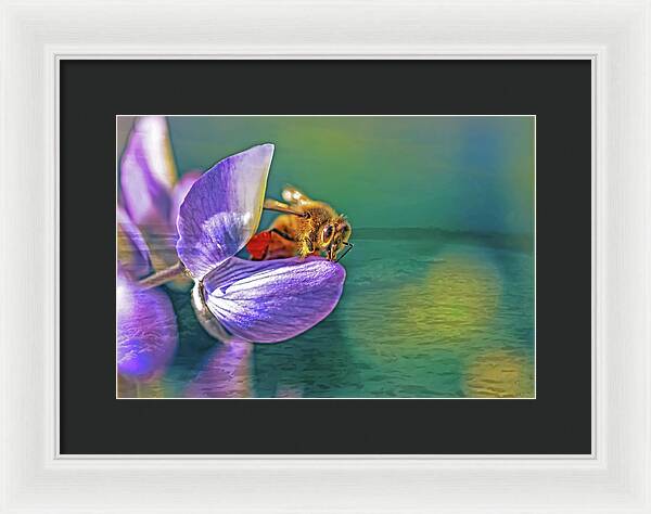 Ready for Lift Off from a Purple Flower - Framed Print