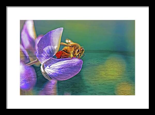 Ready for Lift Off from a Purple Flower - Framed Print