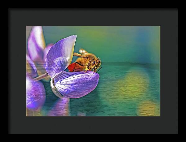 Ready for Lift Off from a Purple Flower - Framed Print