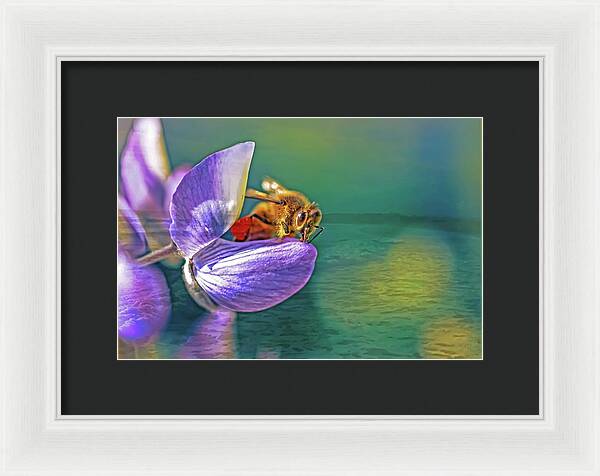 Ready for Lift Off from a Purple Flower - Framed Print
