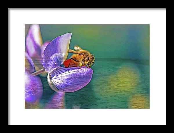 Ready for Lift Off from a Purple Flower - Framed Print