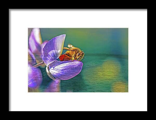 Ready for Lift Off from a Purple Flower - Framed Print