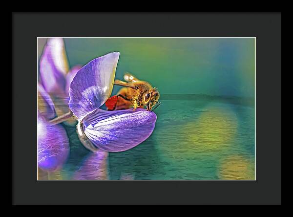 Ready for Lift Off from a Purple Flower - Framed Print