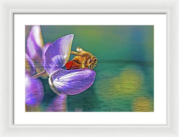 Ready for Lift Off from a Purple Flower - Framed Print