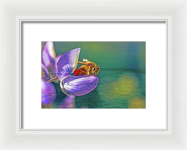 Ready for Lift Off from a Purple Flower - Framed Print