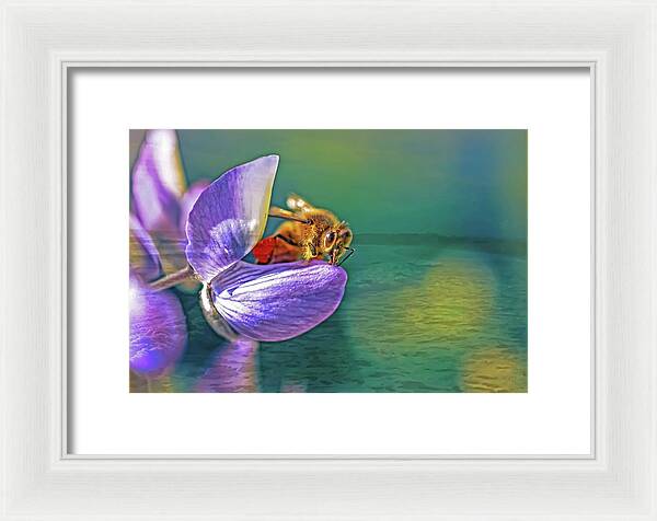Ready for Lift Off from a Purple Flower - Framed Print